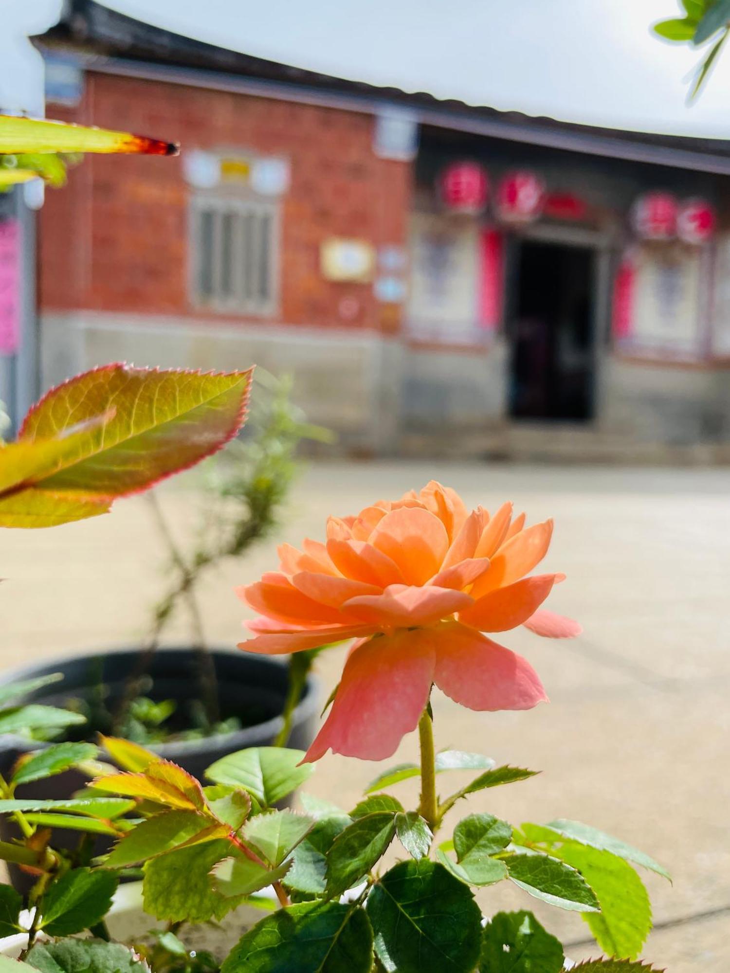 Grace Homestay Jincheng Zewnętrze zdjęcie