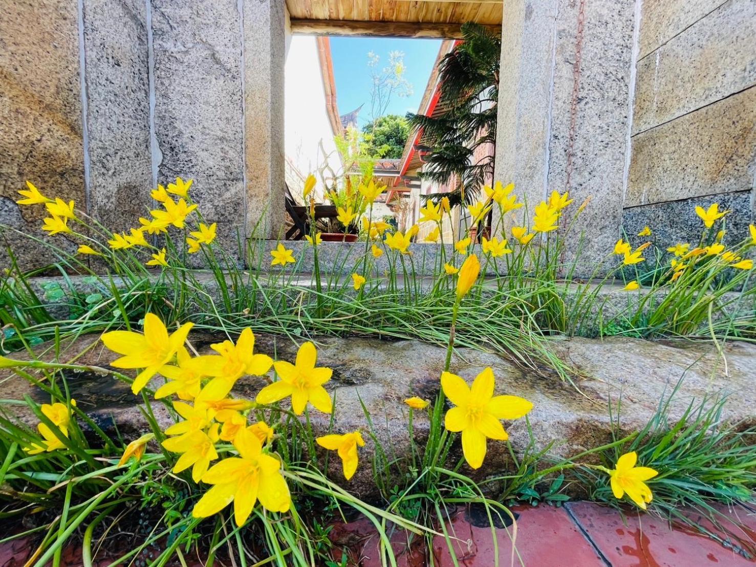 Grace Homestay Jincheng Zewnętrze zdjęcie
