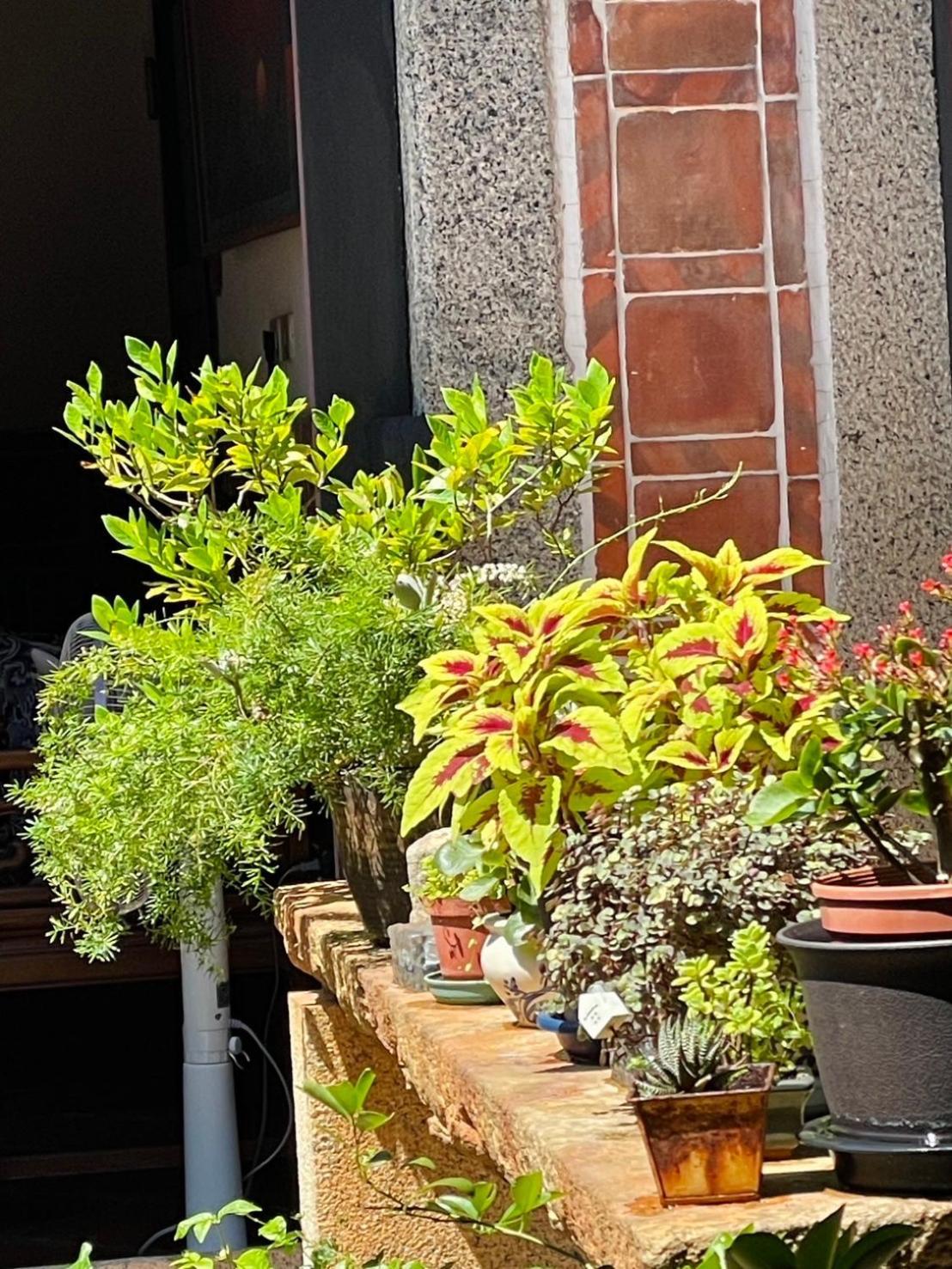 Grace Homestay Jincheng Zewnętrze zdjęcie